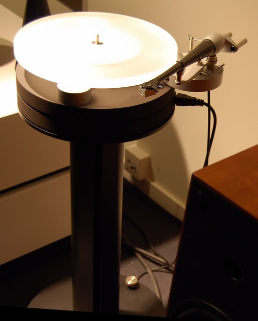 EuphoniatrffACFeb090290.jpg