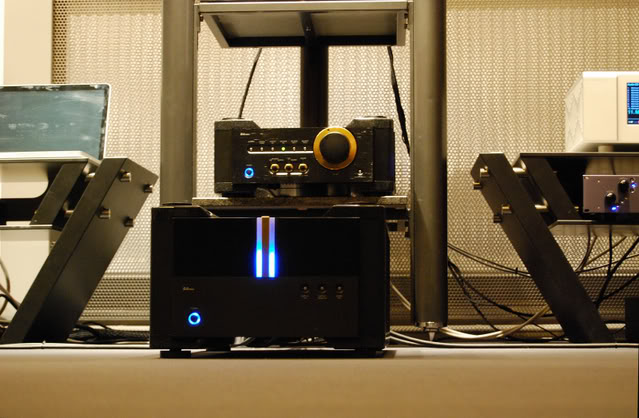 EuphoniatrffACFeb090297.jpg