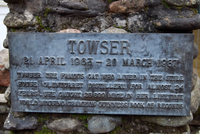 Towser0144.jpg
