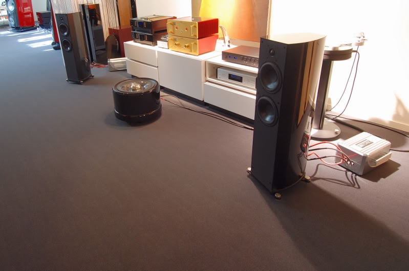 WilsonBDemoAC0787.jpg
