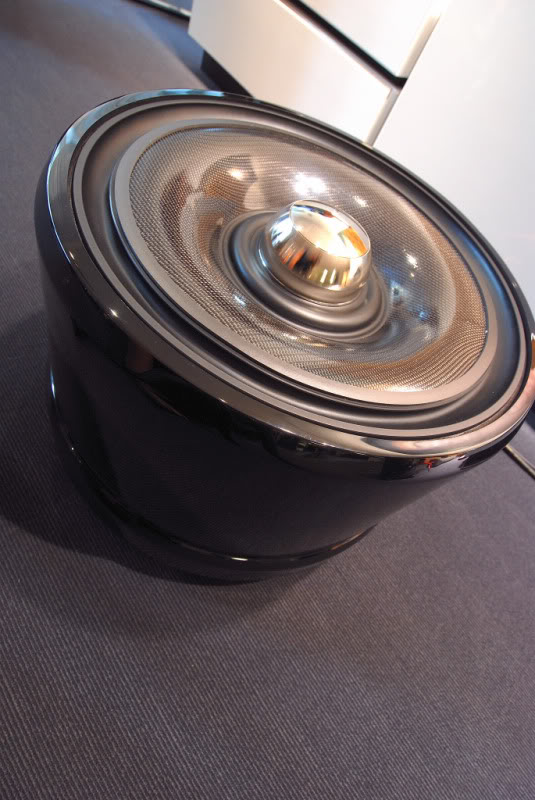WilsonBDemoAC0798.jpg