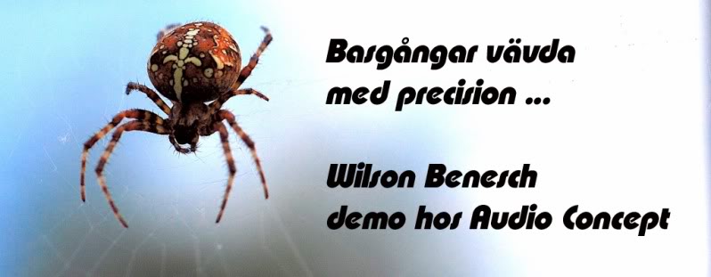 WilsonBDemoAC0824kopia.jpg