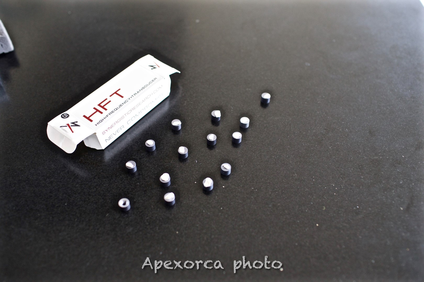_49U0595.jpg
