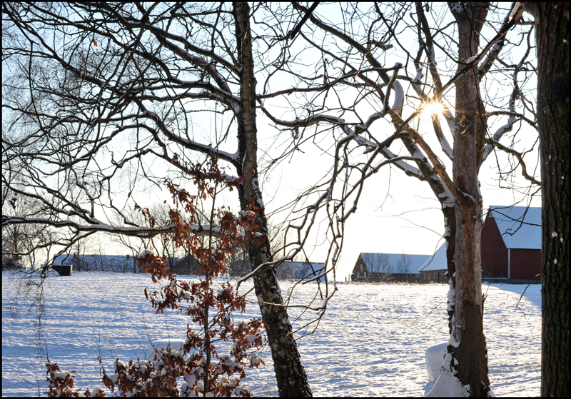 DSC_7196.JPG