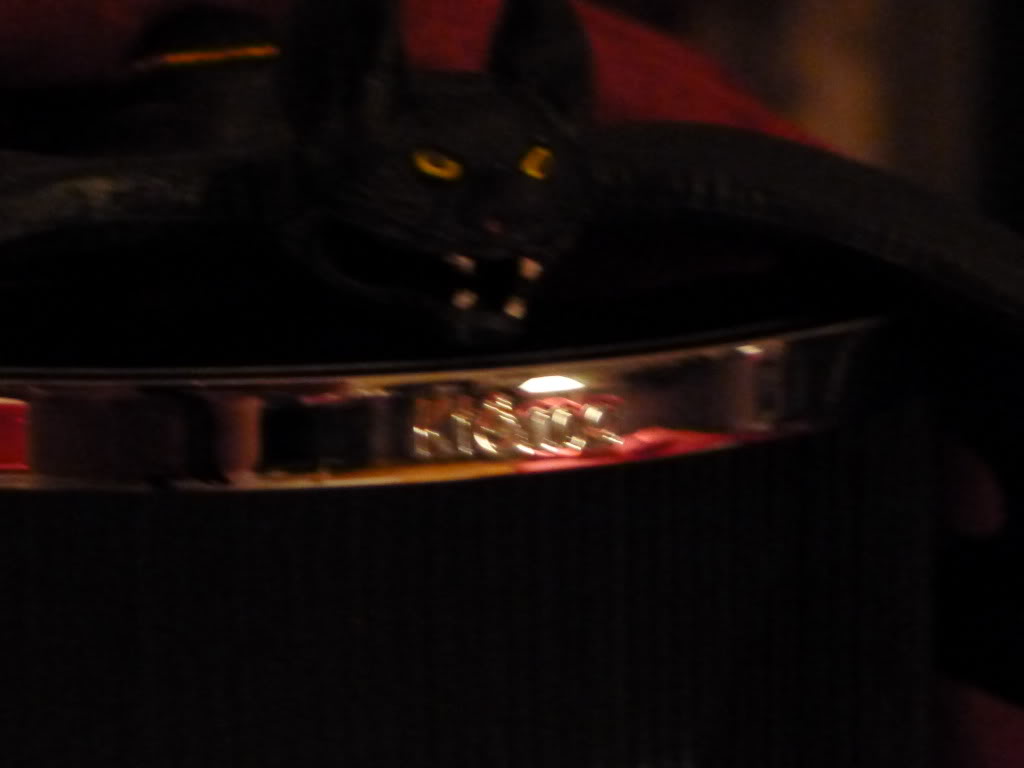 BAT012.jpg