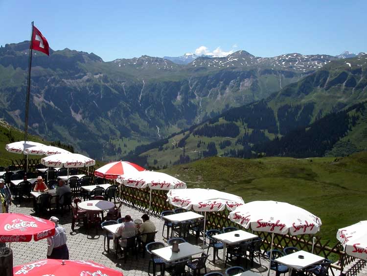 alperna1.jpg