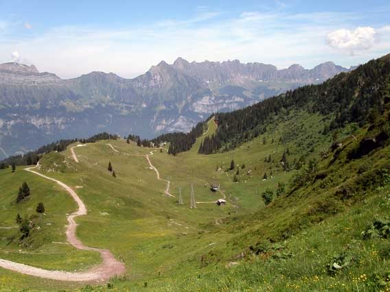 alperna4.jpg