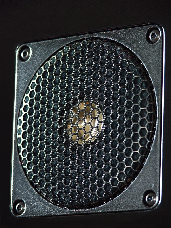 tema075.JPG