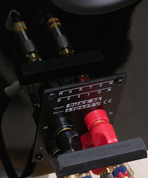 tema094.JPG