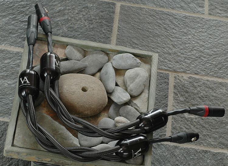 vitusaudio128.JPG