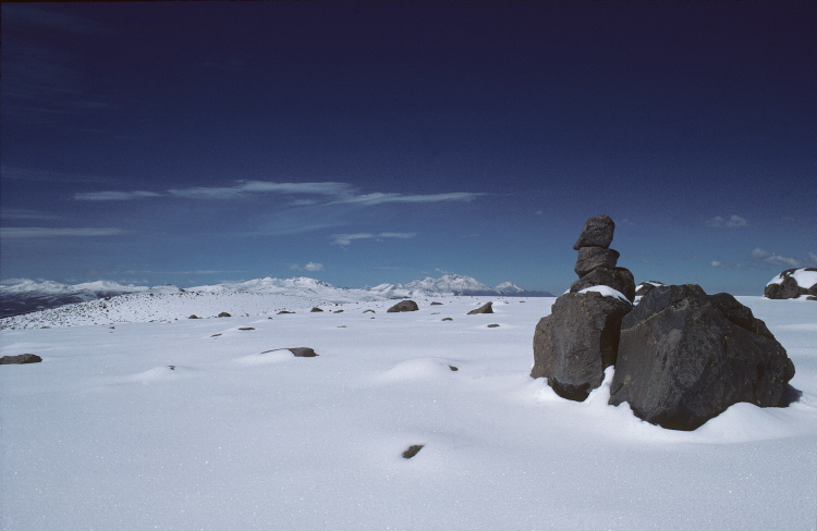 scan0204.jpg