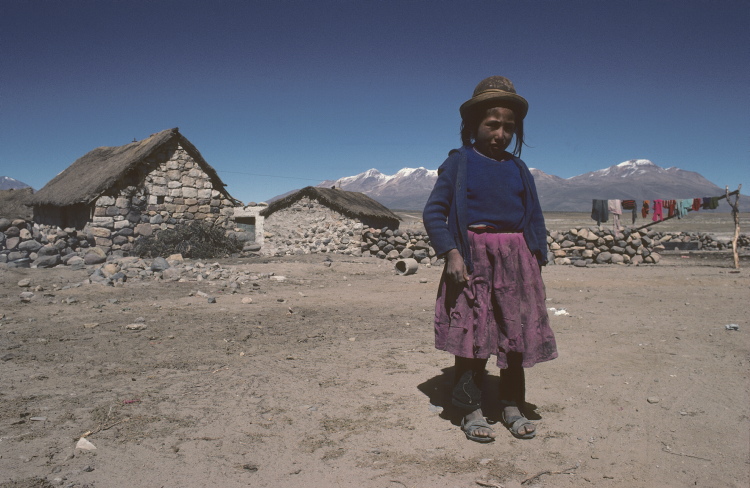 scan0208.jpg
