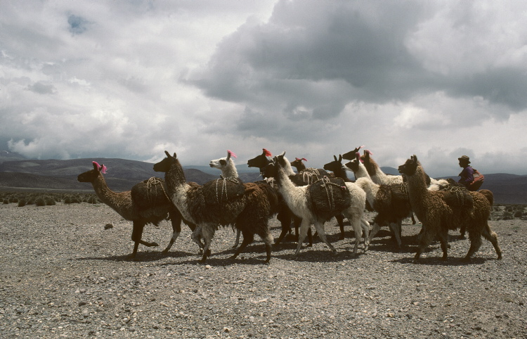 scan0216.jpg