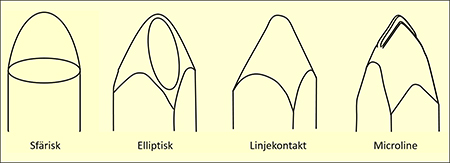 pic-03-12.jpg