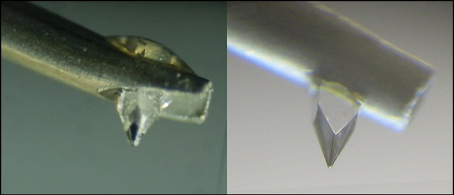stylus-04.jpg